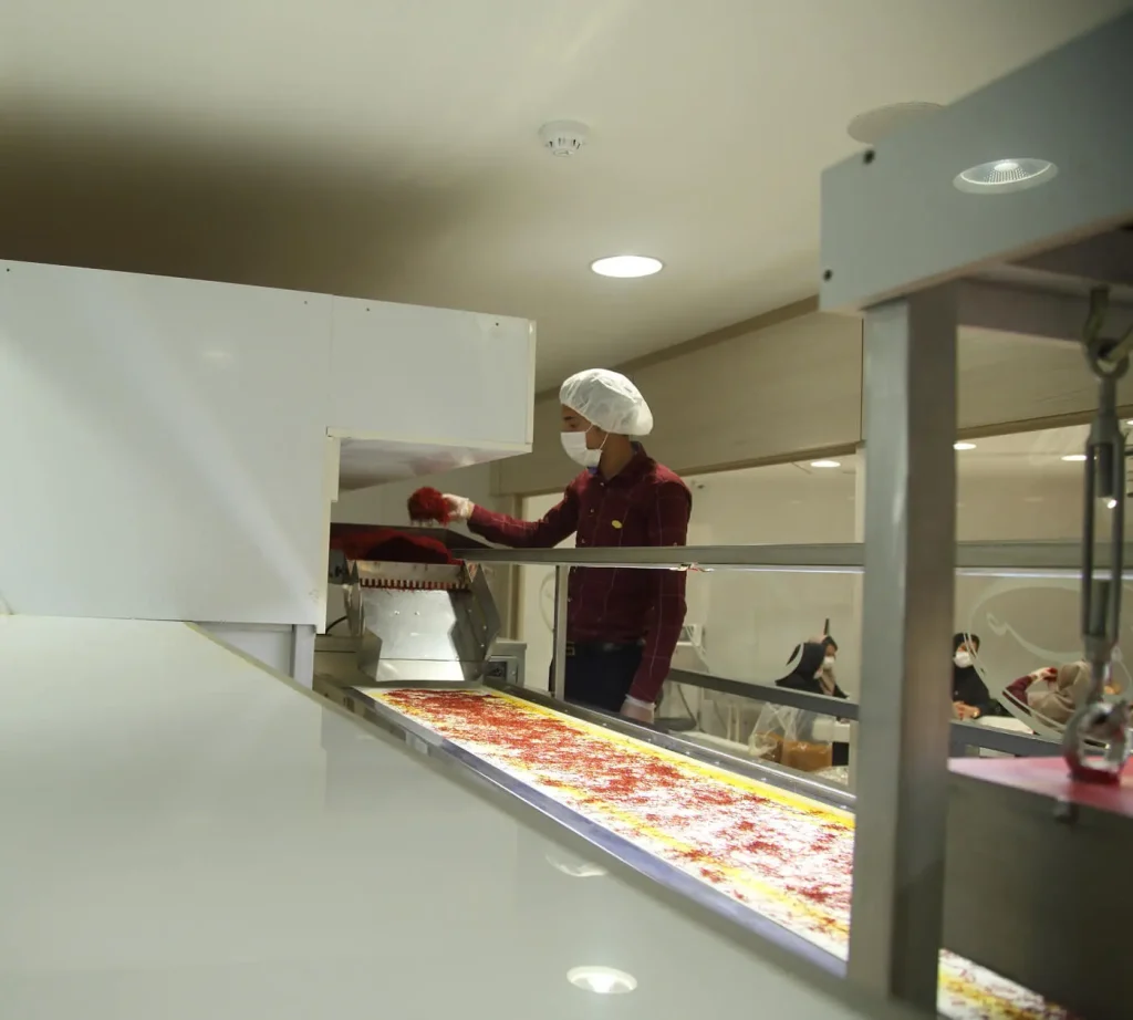 ravang-saffron-production-processing